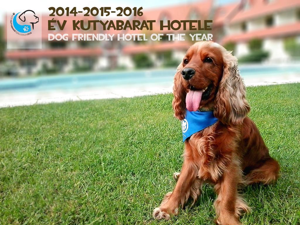 Abbazia Country Club Superior 3* Nemesnep