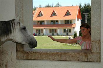 Hotel Abbazia Country Club Superior 3*